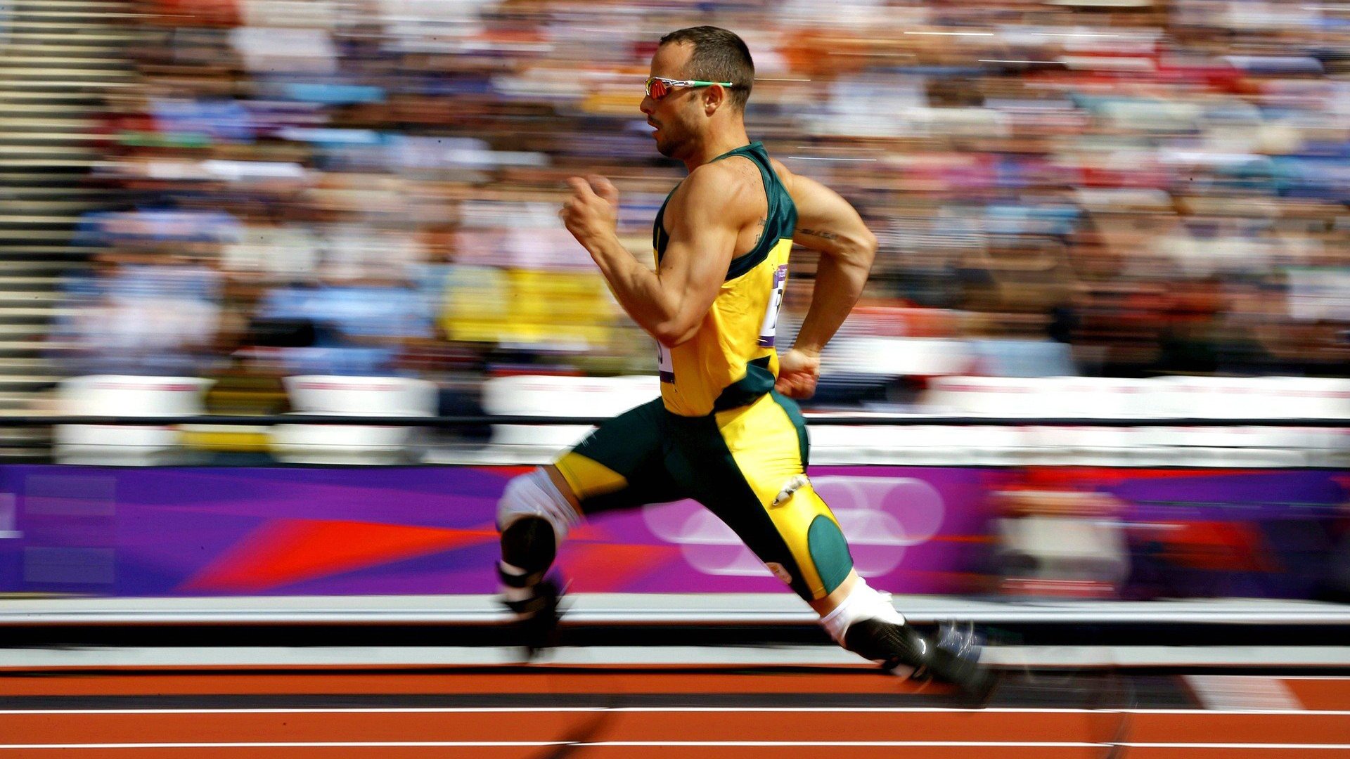 美洲杯激情四射：明星联袂演绎精彩！，美洲杯完整视频